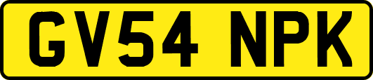 GV54NPK