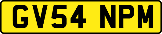 GV54NPM