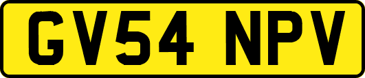 GV54NPV