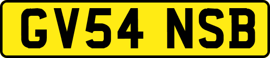GV54NSB