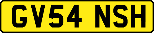 GV54NSH