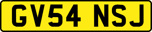 GV54NSJ