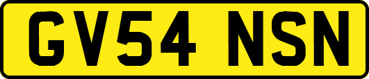 GV54NSN
