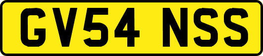 GV54NSS