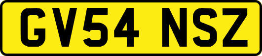 GV54NSZ
