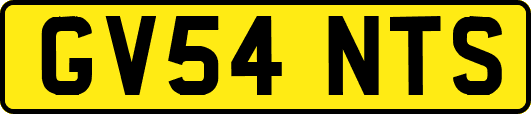 GV54NTS