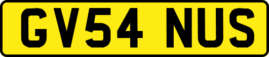 GV54NUS