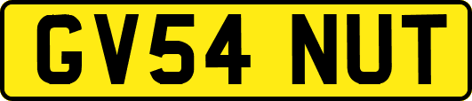 GV54NUT
