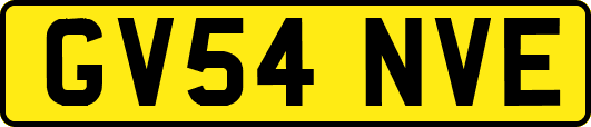 GV54NVE