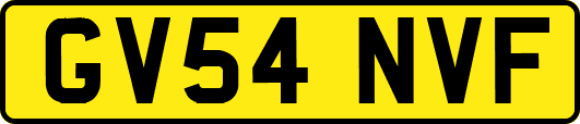 GV54NVF