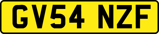 GV54NZF