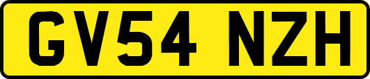 GV54NZH