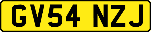 GV54NZJ