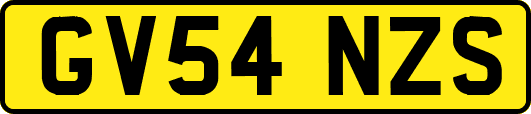 GV54NZS