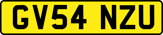 GV54NZU