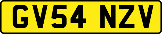 GV54NZV