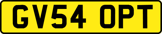 GV54OPT