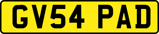 GV54PAD
