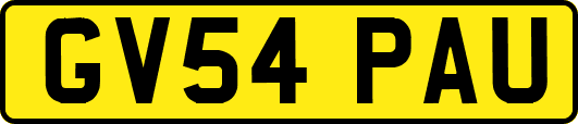 GV54PAU
