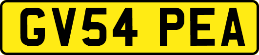 GV54PEA