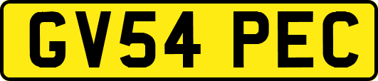 GV54PEC