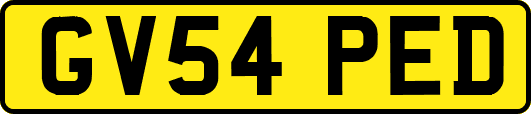 GV54PED