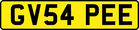 GV54PEE