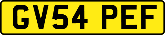GV54PEF