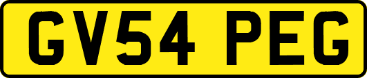 GV54PEG