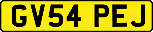 GV54PEJ