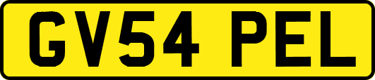 GV54PEL