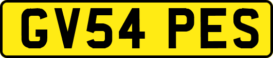 GV54PES