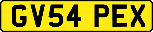 GV54PEX