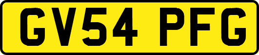 GV54PFG