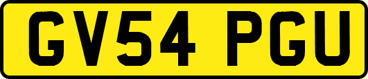 GV54PGU