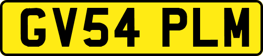 GV54PLM