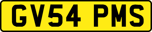 GV54PMS