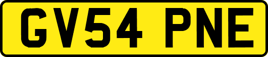 GV54PNE
