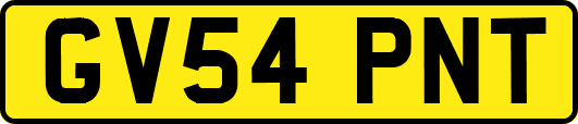 GV54PNT