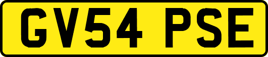 GV54PSE