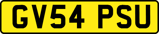 GV54PSU