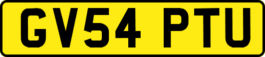 GV54PTU