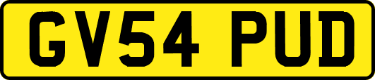 GV54PUD