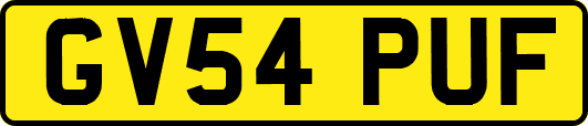GV54PUF