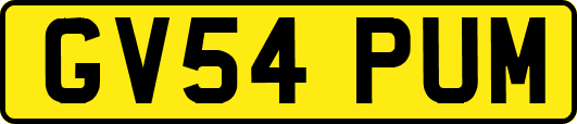 GV54PUM
