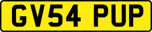 GV54PUP