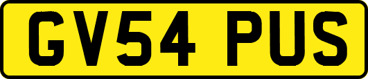 GV54PUS