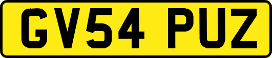 GV54PUZ