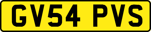 GV54PVS