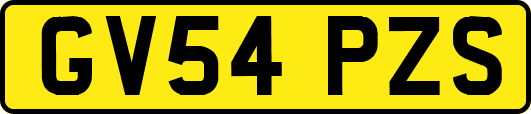 GV54PZS